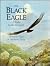 The Black Eagle: Verreaux's Eagle in Southern Africa