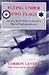 Flying Under Two Flags by Gordon Levett Flying Under Two Flags by Gordon Levett