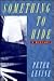 Something to Hide: A Novel
