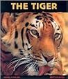 The Tiger: Ferocious Feline (Animal Close-Ups)