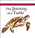 The Journey of a Turtle (Lifecycles)