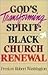 God's Transforming Spirit: Black Church Renewal