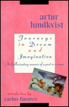 Journeys in Dream and Imagination: The Hallucinatory Memoir of a Poet in a Coma (Hardcover)