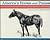 America's Horses and Ponies
