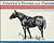 America's Horses and Ponies