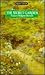 The Secret Garden by Frances Hodgson Burnett The Secret Garden by Frances Hodgson Burnett