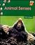 Animal Senses by Phil Gates