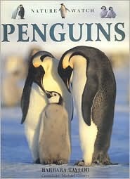 Penguins (Nature Watch)
