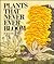 Plants That Never Ever Bloom