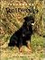The Ultimate Rottweiler