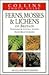 Ferns, Mosses & Lichens of Britain & Northern and Central Europe (Collins Photo Guide)