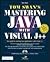 Tom Swan's Mastering Java W...