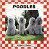 Poodles (Dogs Set I)