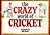 The Crazy World of Cricket Paperback Bill Stott
