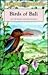 Birds of Bali