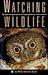 Watching Wildlife: Tips, Gear and Great Places for Enjoying America's Wild Creatures