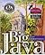 Big Java