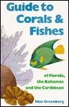 Guide to Corals and Fishes of Florida, the Bahamas and the Caribbean (Paperback)
