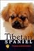 Tibetan Spaniel by Susan W. Miccio