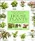 A Practical Guide to Growing Healthy Houseplants