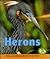 Herons (Early Bird Nature Books)
