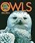 Owls (First Book)
