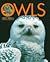 Owls by Fern G. Brown