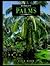 Betrocks Guide to Landscape Palms