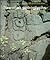 Hawaiian Petroglyphs