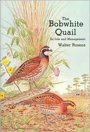 The Bobwhite Quail: It's Life and Management (Hardcover)