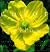 The Color Garden: Yellow