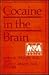 Cocaine in the Brain