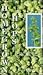 Homegrown Hops An Illustrated How to Do It Manual by David R. Beach