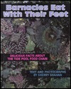Barnacles Eat With Their Feet (Library Binding)