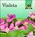 Violets (Flowers)
