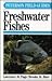 Field Guide to Freshwater Fishes by Lawrence M. Page