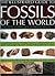 Fossils of the World (The Illustrated Guide to)