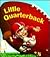 Little Quarterback (Chunky Shape Books - Little All Stars)