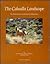 The Cahuilla Landscape: The Santa Rosa and San Jacinto Mountains (Ballena Press Anthropological Papers ; No. 37)
