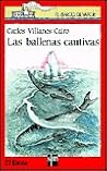 Las ballenas caut...
