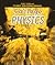 College Physics Study Guide...