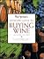 Wine Spectator's Ultimate Guide to Buying Wine by Wine Spectator