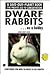 Dwarf Rabbits: Getting Started
