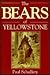 The Bears of Yellowstone