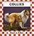 Collies (Dogs Set II)
