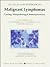 Atlas and Textbook of Malignant Lymphomas: Cytology, Histopathology & Immunochemistry
