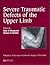 Severe Tramatic Defects of the Upper Limb: Published in association with the Federation of European Societies for Surgery of the Hand