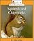 Squirrels and Chipmunks (Rookie Read-About Science)