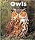 Owls (Naturebooks)