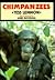 Chimpanzees